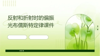 反射和折射时的偏振光布儒斯特定律课件