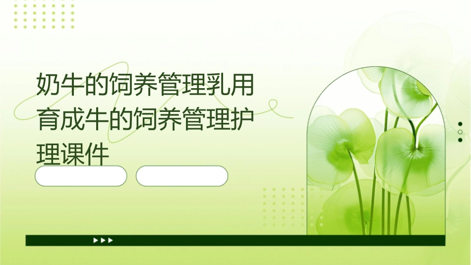 奶牛的饲养管理乳用育成牛的饲养管理护理课件_第1页
