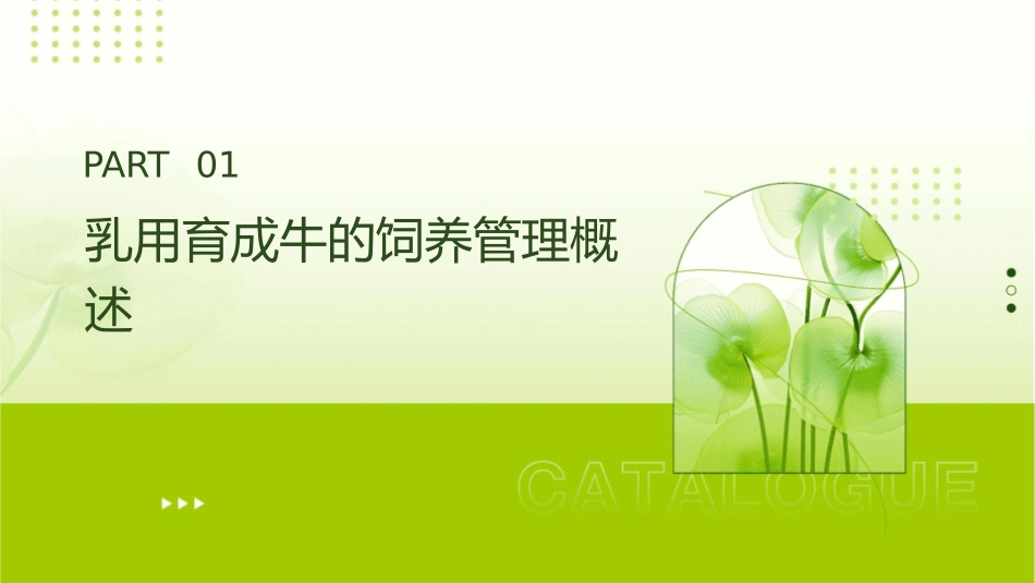 奶牛的饲养管理乳用育成牛的饲养管理护理课件_第3页