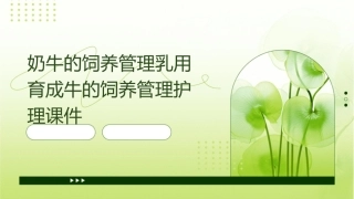 奶牛的饲养管理乳用育成牛的饲养管理护理课件