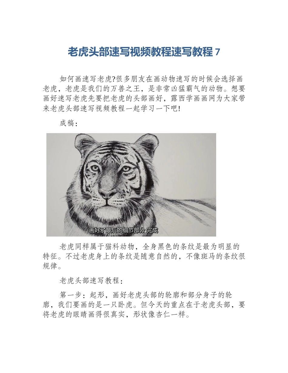 老虎头部速写视频教程速写教程7_第1页