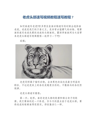 老虎头部速写视频教程速写教程7