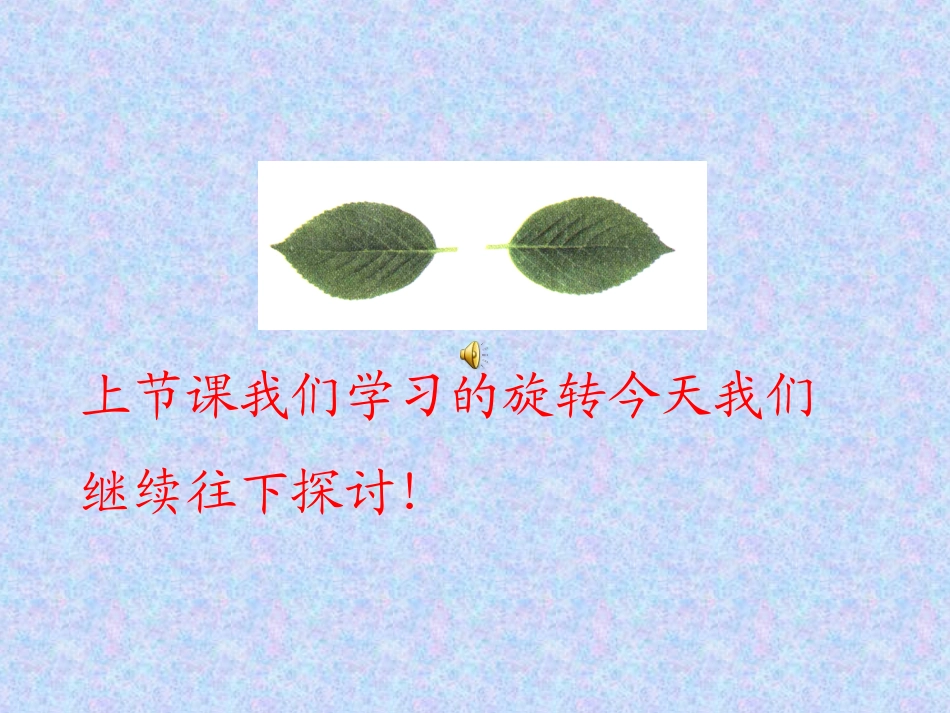 《2321中心对称》课件_第1页