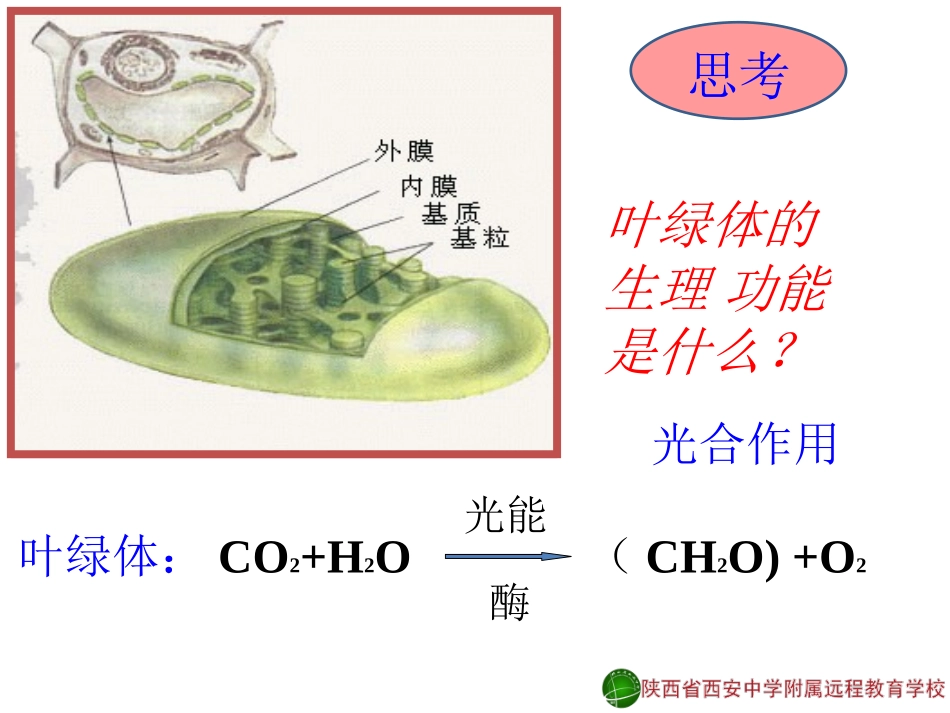 降低化学反应活化能的酶1-郑箫13-11-13_第2页