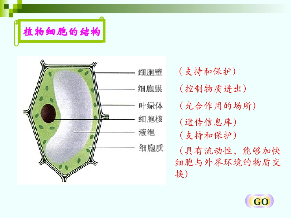 对比动植物细胞的结构_第2页