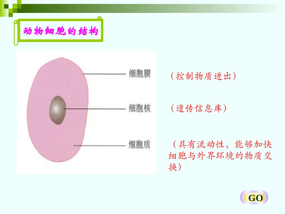 对比动植物细胞的结构_第3页
