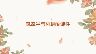 包括氯氮平利培酮课件