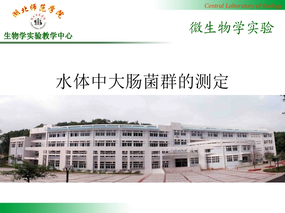 B-02-水体中大肠菌群测定资料_第1页
