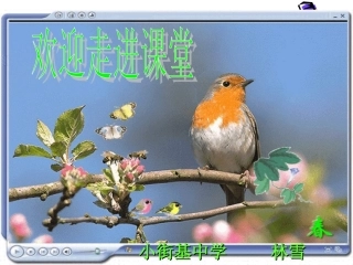 溶液浓稀的表示二