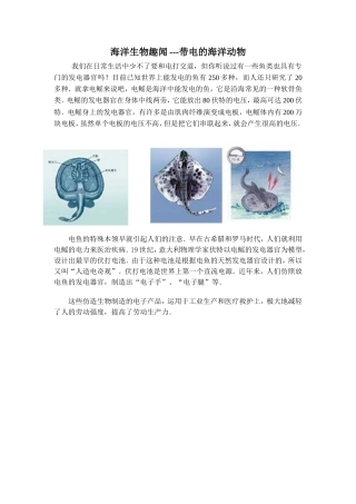 海洋生物趣闻