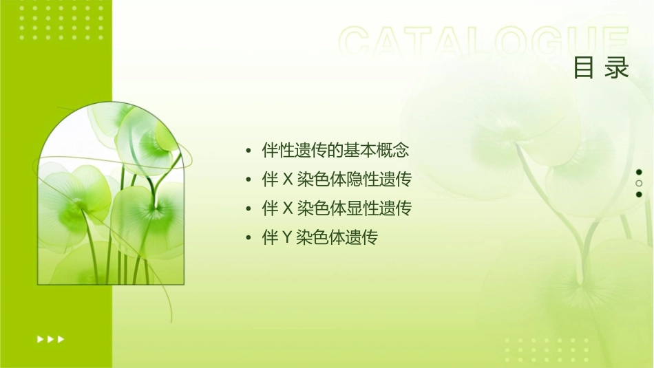 复习伴性遗传课件_第2页