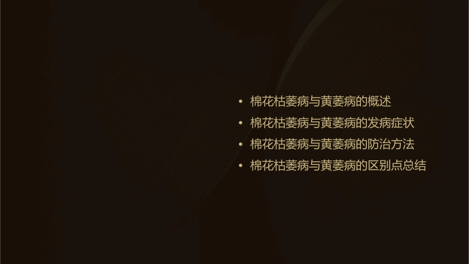 区别点棉花枯萎病棉花黄萎病课件_第2页