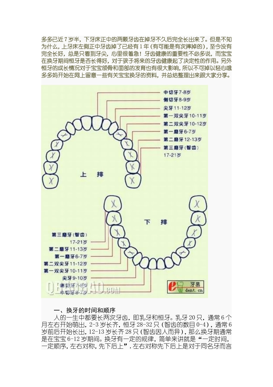 儿童换牙顺序图_第1页