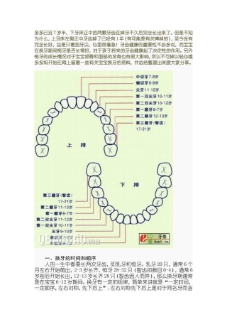 儿童换牙顺序图