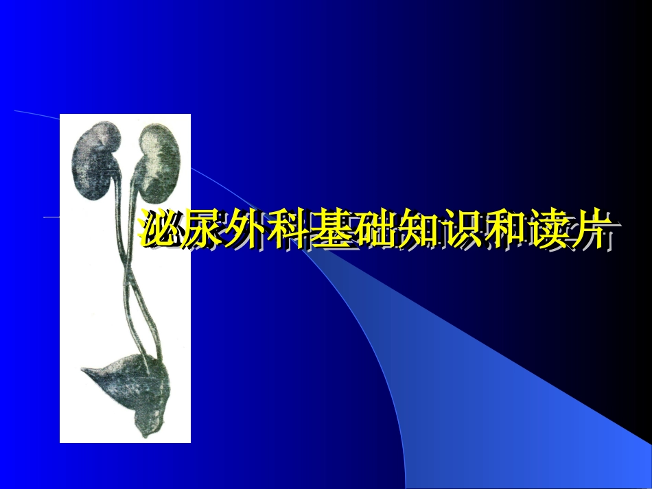 泌尿外科基础知识和读片_第1页