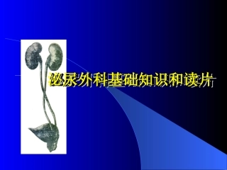 泌尿外科基础知识和读片