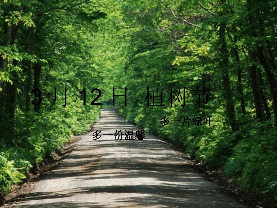植树节主题班会PPT_第1页
