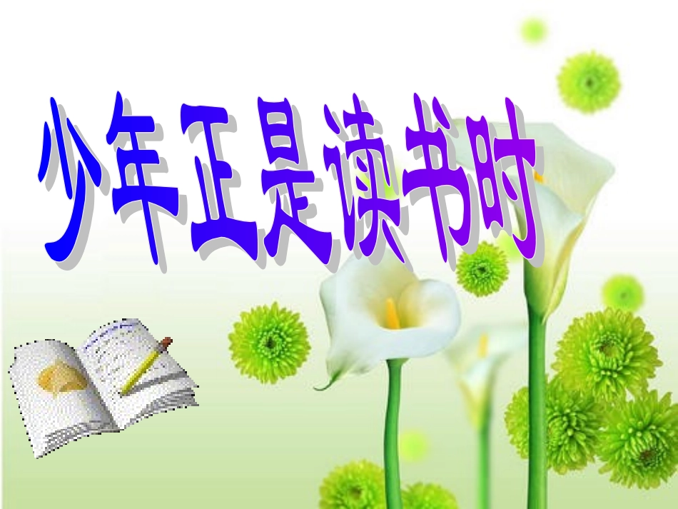 综合性学习：少年正是读书时(上课用)_第1页