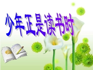 综合性学习：少年正是读书时(上课用)