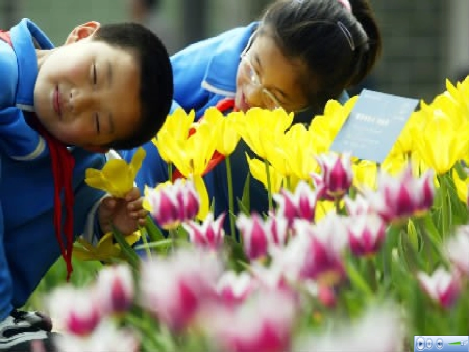 《爱的人间》课件_第3页