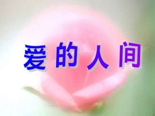 《爱的人间》课件