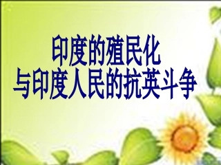 印度的殖民化许琴