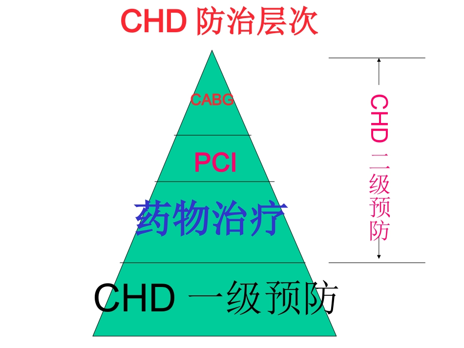 CHD合理用药及误区_第2页
