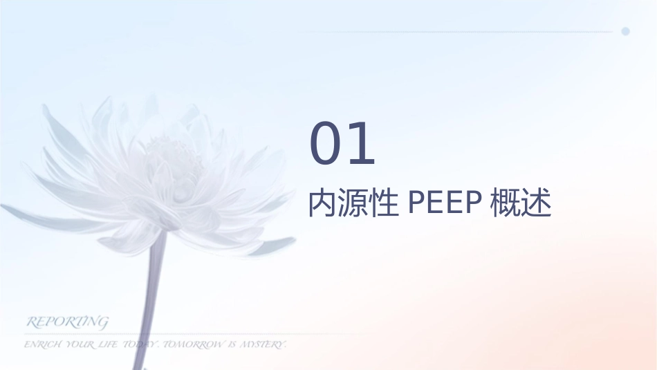 内源性peep识别和处理护理课件_第3页