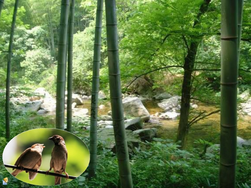 美丽的兴平小学_第3页