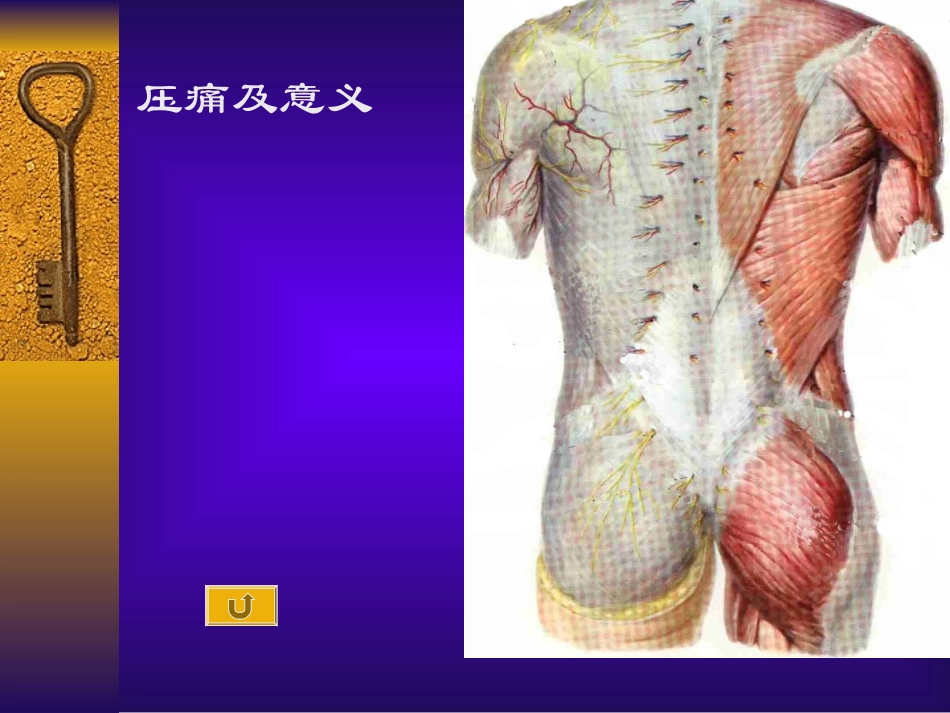 推拿学基础第三讲骨盆部检查讲义_第3页