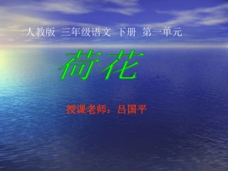 三语下第一单元第三课《荷花》课件