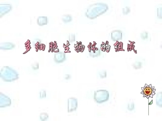 多细胞生物体的组成