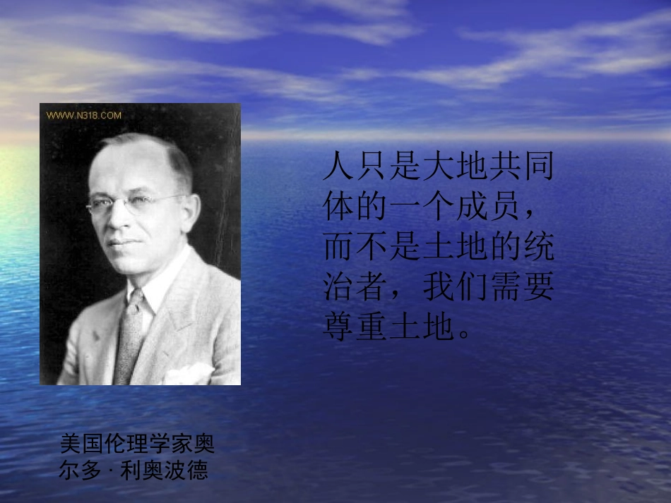 大雁归来[1]_第2页