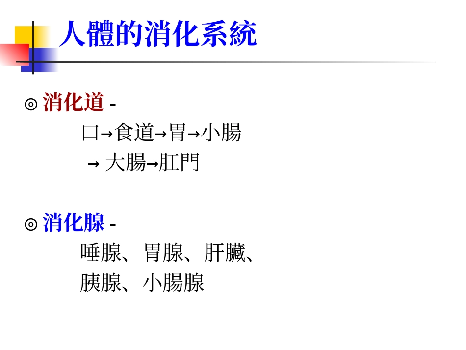 胃泌素肠抑胃泌素_第3页