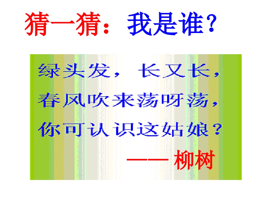 小柳树和小枣树新_第1页