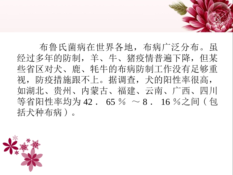 犬布鲁氏菌病全解_第2页
