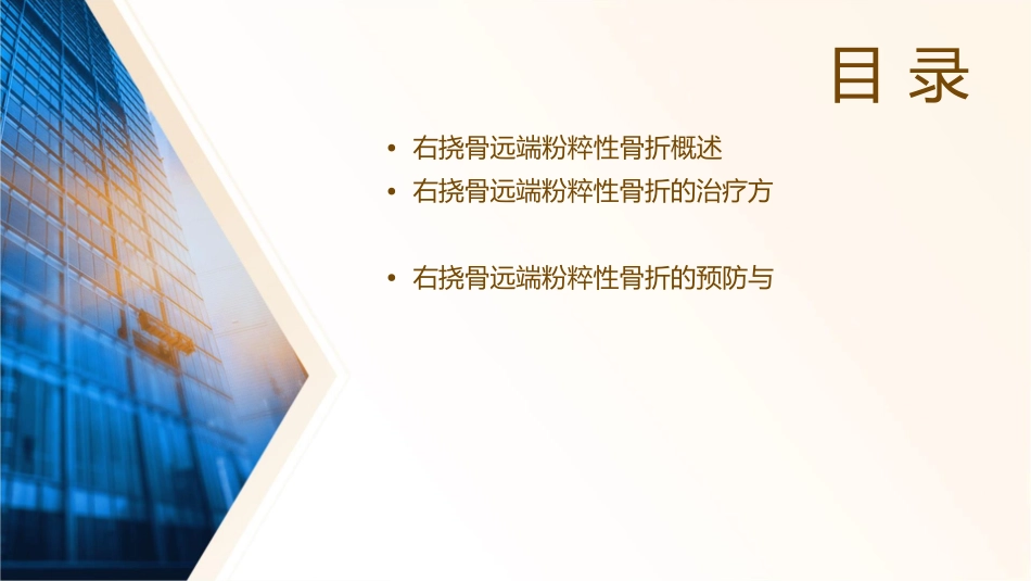 右挠骨远端粉粹性骨折课件_第2页