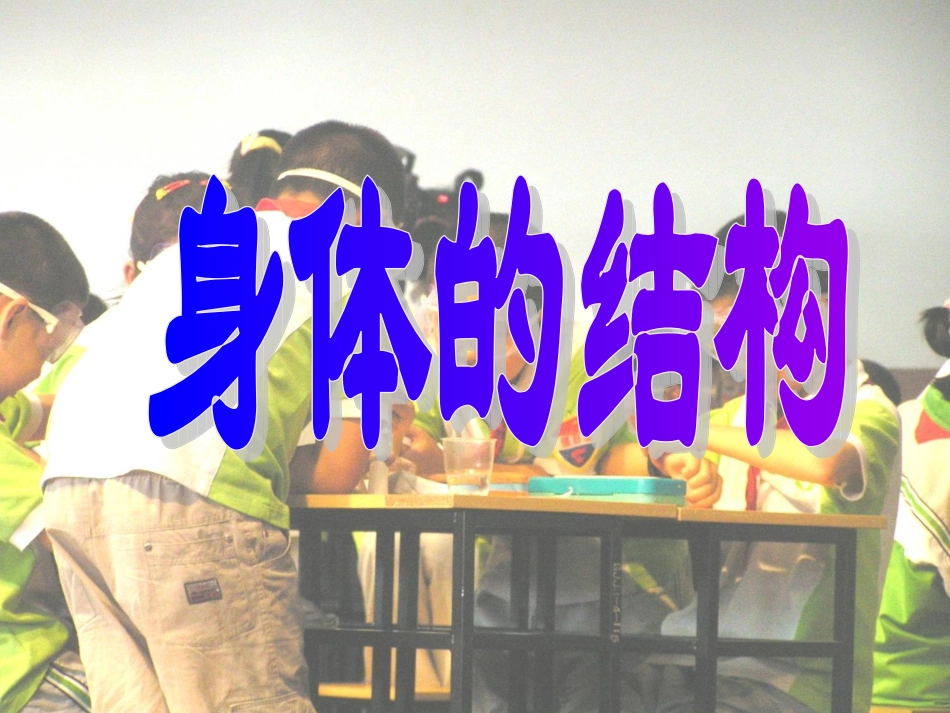 四上身体的结构课件_第3页