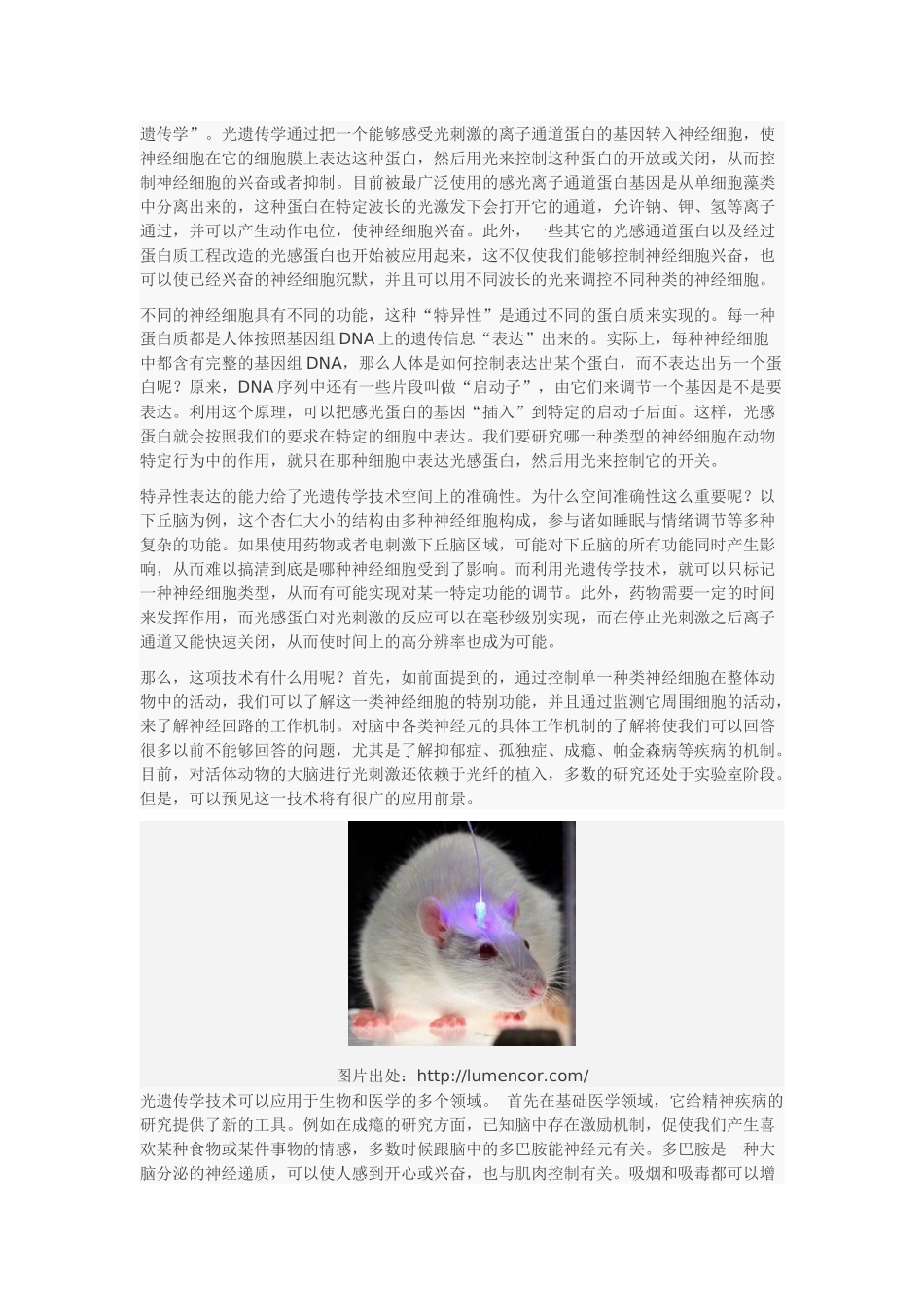 光遗传学-操控神经细胞的新工具_第2页