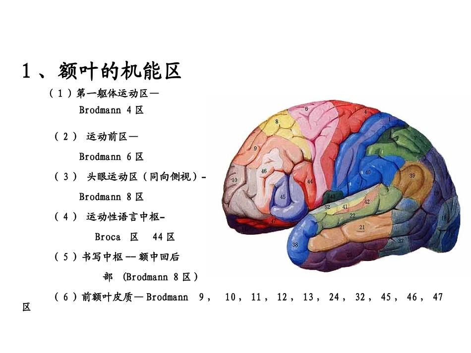 大脑额叶的功能定位-PPT文档资料_第3页