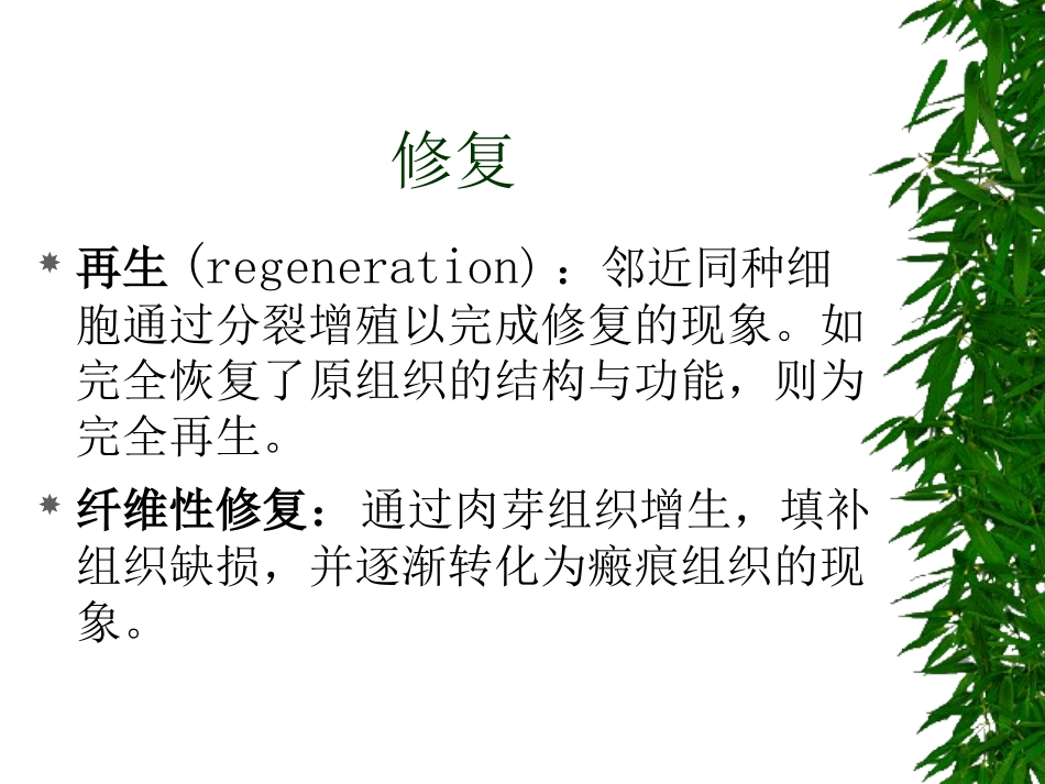 损伤的修复(精)_第2页