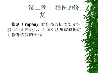 损伤的修复(精)