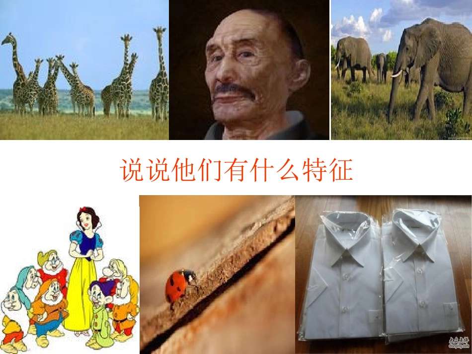 三年级M2U1_It's_very_long_第2页