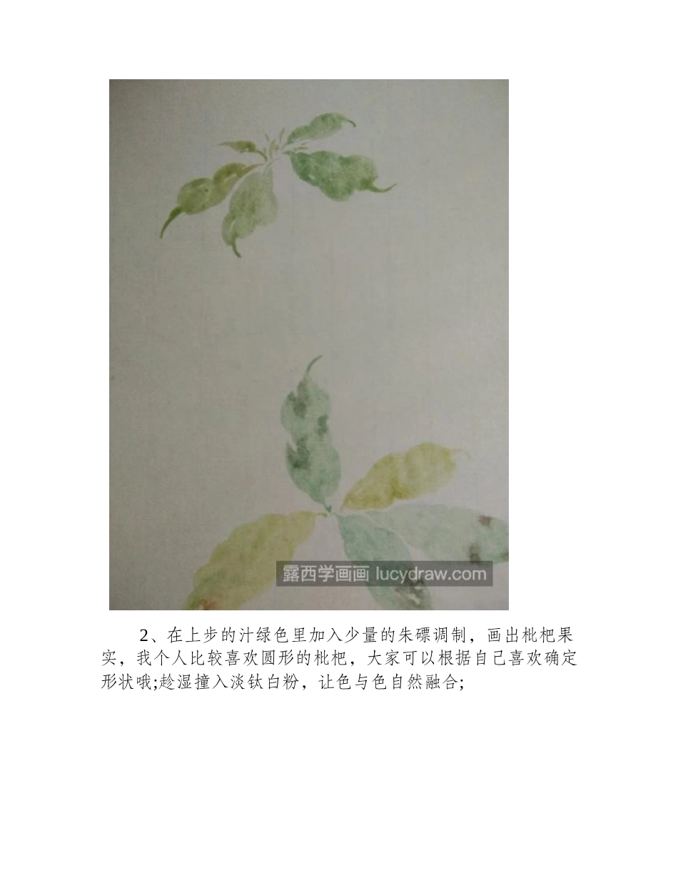 枇杷怎么画_有哪些国画步骤_国画教程_第2页