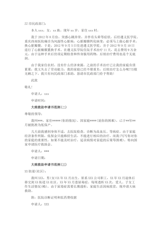 民政局大病救助申请书