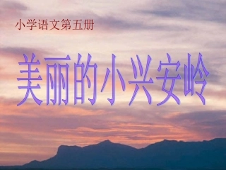 《美丽的小兴安岭》