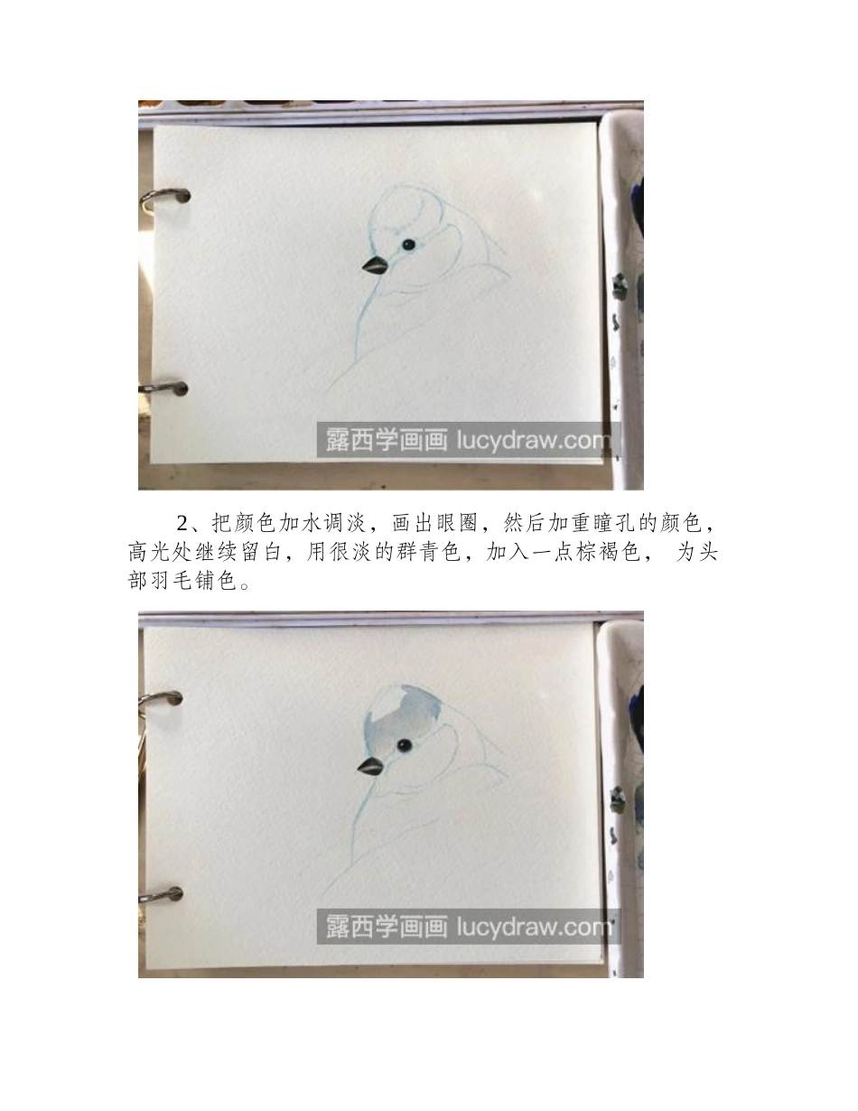 蓝山雀怎么画_水彩画动物的画法是什么_水彩画教程_第2页