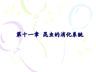 昆虫的消化系统