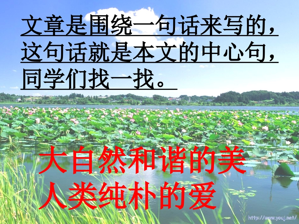 荷塘旧事_课件1_第3页