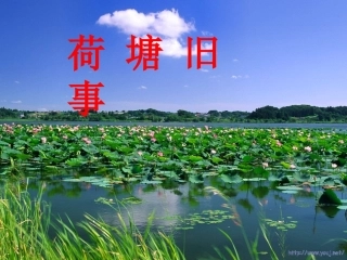 荷塘旧事_课件1